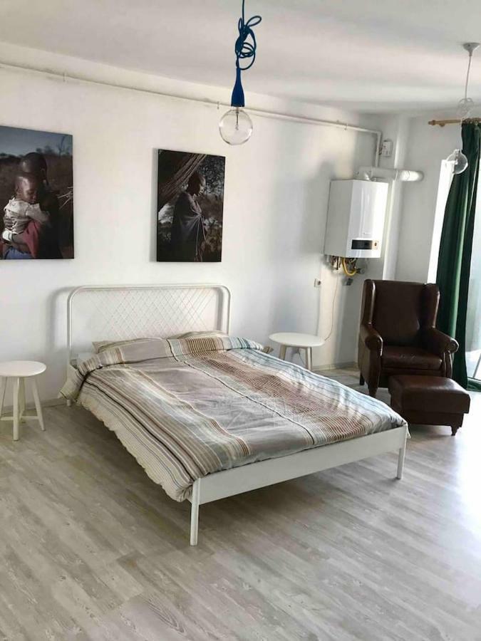 Beautiful Studio Near The Center Of Cluj Εξωτερικό φωτογραφία